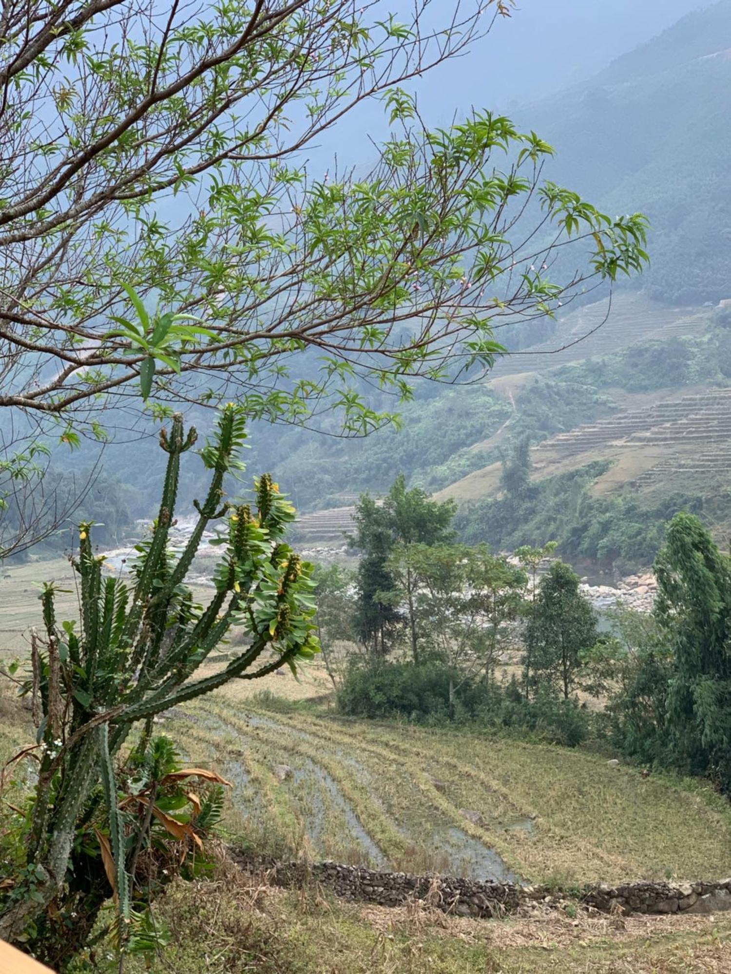 Homestay The Zen House *