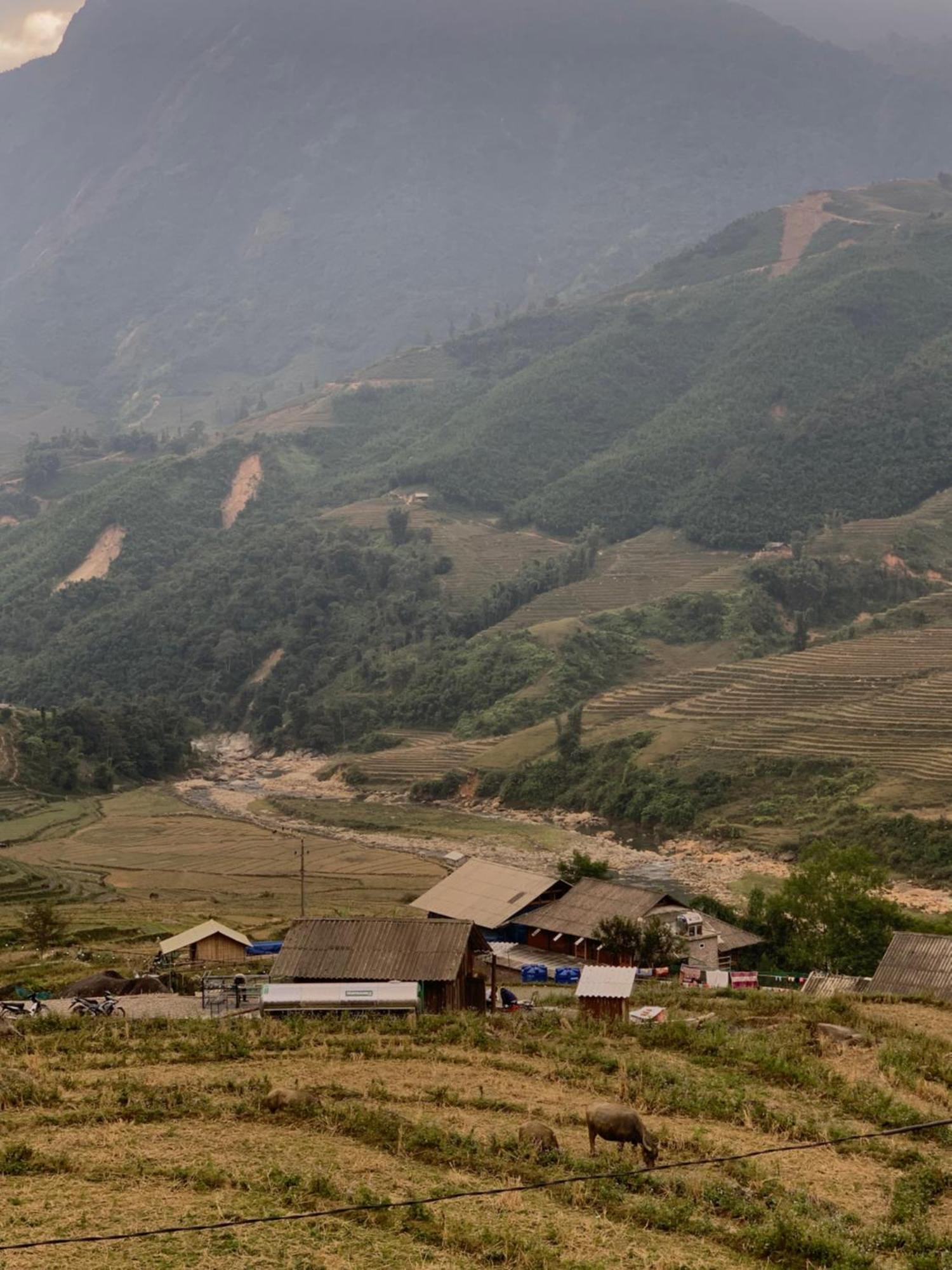The Zen House Homestay *