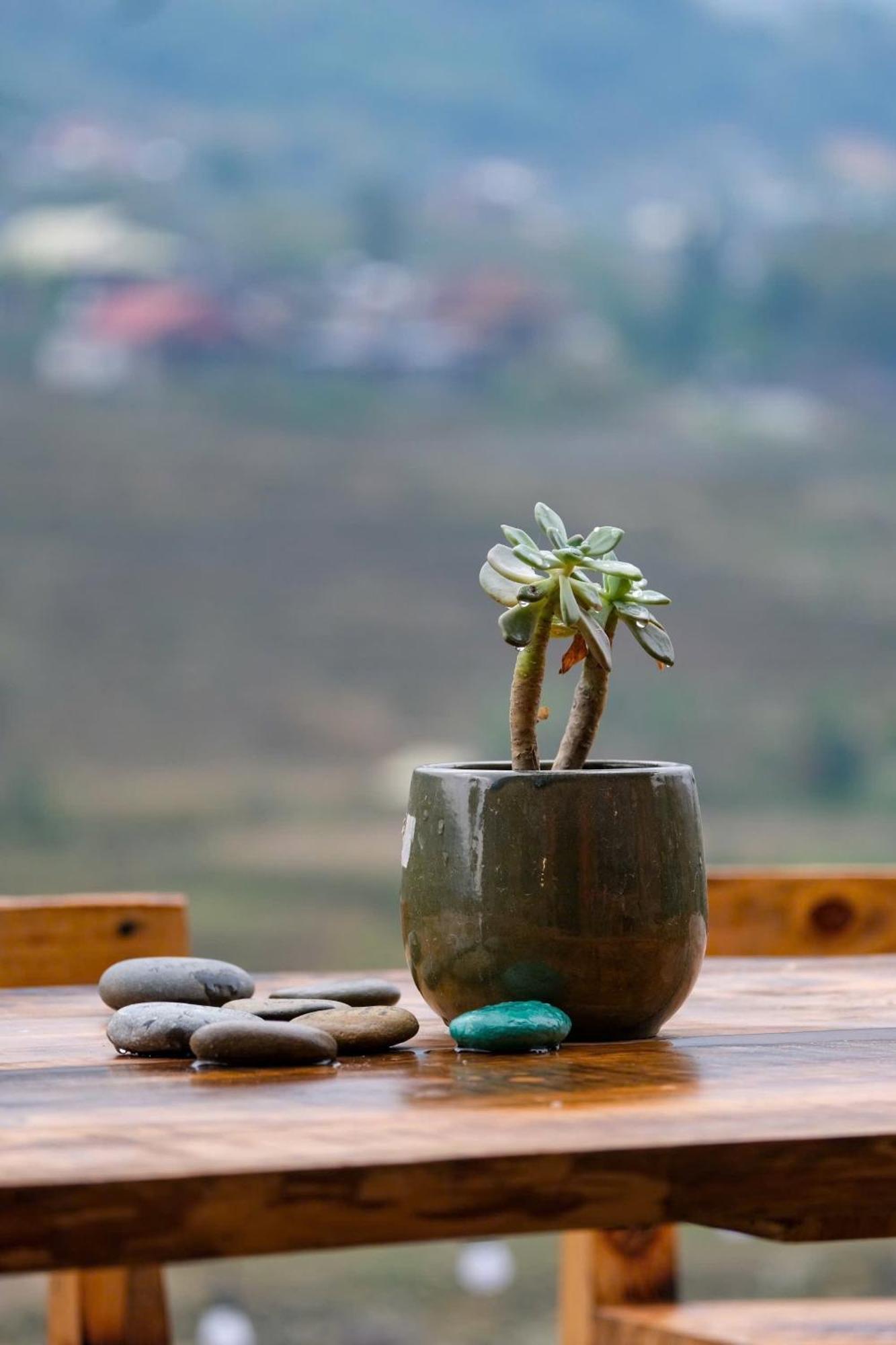 Homestay The Zen House